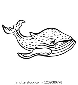 Hand drawn whale character sea fish in engraving style. Outdoor activity travel symbol, tourism. Sketch vector illustration for poster, tattoo, t-shirt and card design.