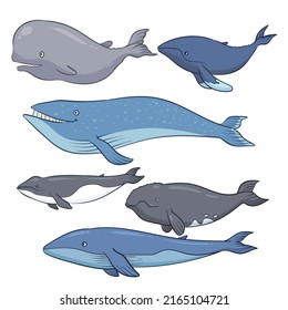 hand drawn whale collection 1