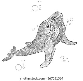 Hand drawn whale . Isolated on white. anti stress Coloring Page Vector monochrome sketch.