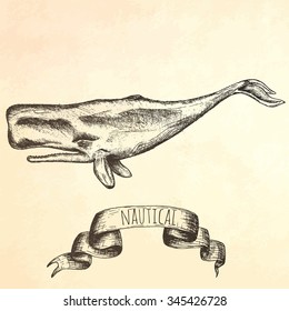 Hand drawn whale. Vector illustration.