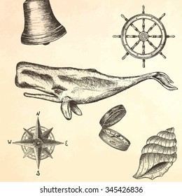 Hand drawn whale. Vector illustration.