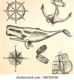 Hand drawn whale. Vector illustration.
