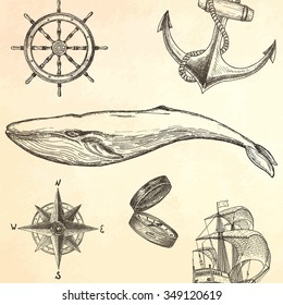 Hand drawn whale. Vector illustration.