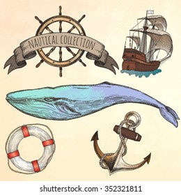 Hand drawn whale. Vector illustration.