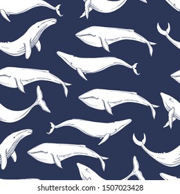 Hand drawn whales. Vector  seamless pattern 