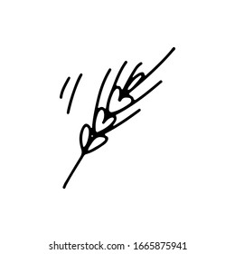 Hand drawn wheat doodle vector illustration isolated on white background. Black outline symbols. Design for greeting cards, scrapbooking, textile, wrapping paper, cafe, restaurant, bakery