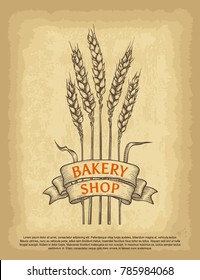 Hand drawn wheat ears. Bakery shop logo. Ribbon banner and lettering. Old craft paper texture background. Engraved style vector illustration. Template for your design works.