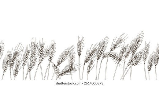 Hand drawn wheat ears seamless border