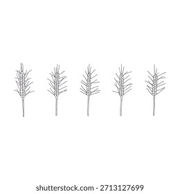 Conjunto de ilustración de trigo dibujado a mano