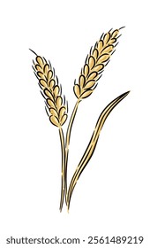 Hand drawn wheat stalks with contrasting details and natural elegance isolated on white.