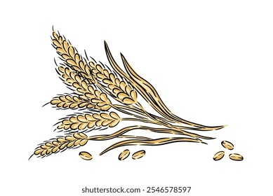 Hand drawn wheat stalks with grains illustrated in a minimalist style on white background