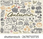 Hand -drawn whimsical autumn vector illustrations