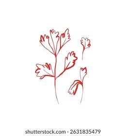 Hand drawn whimsical parsley sprigs in red line style with natural flow and playful organic shapes
