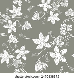 Hand drawn white Aquilegia flower. Continuous line on a transparent line art on grey background.