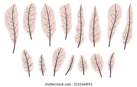 Hand drawn white bird feathers, in flat style closeup isolated on white background set.