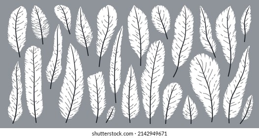 Hand drawn white bird feathers, in flat style closeup isolated on white background set.