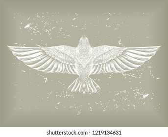 Hand drawn white bird on the grey background. Symbol of freedom. Flying dove.