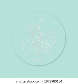 Hand Drawn White Bush of Hops Placed on the Round Substrate with Shadow. Curved Effect Made with White Color and Grey Shadowing. Same Delicate Blue Background and Substrate Color.