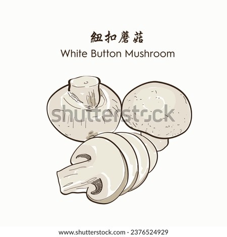 Hand drawn White Button Mushroom 钮扣蘑菇, 口蘑. Hand drawn vector illustration in sketch style. EPS 10 商業照片 © 