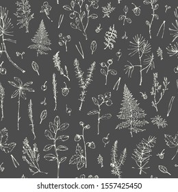 Hand drawn white chalk botanical seamless pattern. Forest plants background with pine branch, moss, juniper, berries, lichen, herbs. For ecological design.