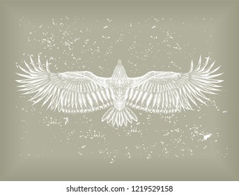 Hand drawn white condor on the grey background. Sketch for tatoo art and print  t shirt. Shabby chic.