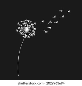 Hand drawn white dandelion, dandelion with flying seeds in doodle style. Vector illustratin for fabric, card design or baby clothings.