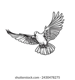 Hand drawn white dove. Flying bird in sketch pen and ink style. Peace and love symbol. Vector illustration.