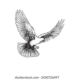 Hand drawn white dove. Flying bird in sketch pen and ink style. Peace and love symbol. Vector illustration.