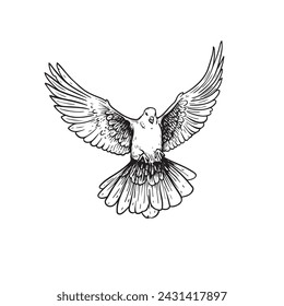 Hand drawn white dove. Flying bird in sketch pen and ink style. Peace and love symbol. Vector illustration.