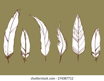 hand drawn white feathers set