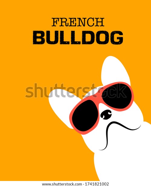赤いサングラスで冷たい 手描きのフランスのブルドッグ フランス犬 オレンジの背景にベクターイラストアート のベクター画像素材 ロイヤリティフリー
