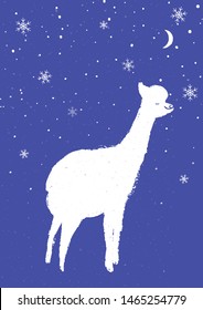 Hand drawn white lama on purple background. Fun fluffy animal card design.