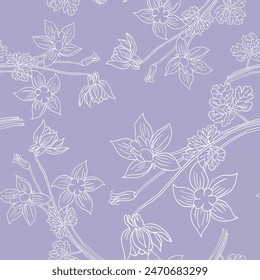 Hand drawn white line drawing Aquilegia flower. Continuous line on a transparent line art on light purple background.