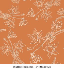 Hand drawn white line drawing Aquilegia flower. Continuous line on a transparent line art on orange background.