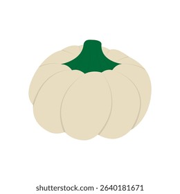 Hand Drawn White Pumpkin with green stem Autumn Celebration Fruit Sticker Icon Design element idea