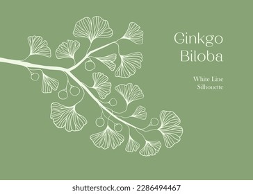 Hand drawn white Silhouette of ginkgo biloba tree isolated on white, Hand drawn ginkgo biloba set, Hand drawn line silhouette ginkgo biloba tree, hand drawn japanese vector flower line silhouette