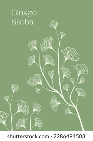 Hand drawn white Silhouette of ginkgo biloba tree isolated on white, Hand drawn ginkgo biloba set, Hand drawn line silhouette ginkgo biloba tree, hand drawn japanese vector flower line silhouette