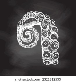 Hand drawn white sketch of octopus tentacle. Vector aquatic monochrome  illustration isolated on chalkboard  background.	 