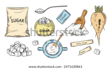 Hand drawn white sugar. Sketch sugar beet, granulated and cubes. Packaged in bag, sticks and bowl vector illustration set