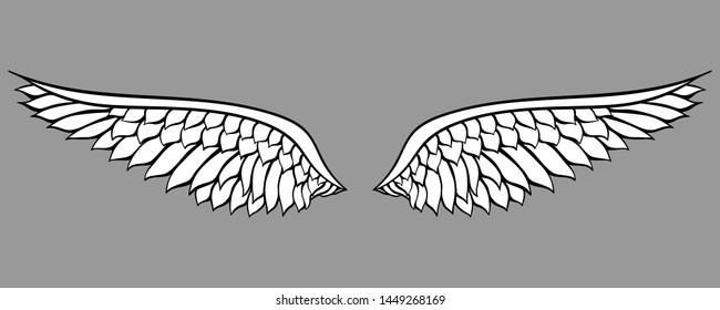 Hand drawn white wings on grey background 
