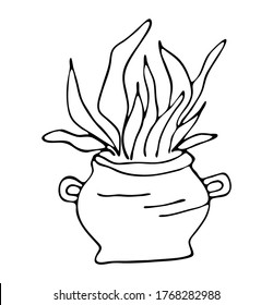 Hand drawn wiccan design, astrology, alchemy, magic symbol or halloween design. Boiling magic cauldron with plants vector illustration.