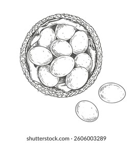 Hand drawn wicker basket with eggs. Top view.