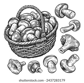 Hand drawn wicker basket full of mushrooms. Fresh organic food. Sketch vintage vector illustration