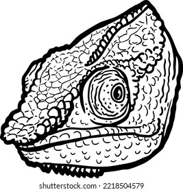 hand drawn wild animal portrait
