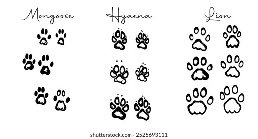 Hand drawn wild animals foot prints