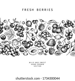 Hand drawn wild berry. Cherry, gooseberry, cranberry, raspberry, black currant, plum, rosehip, guelder rose, sea buckthorn, grape, strawberry Vector vegan food banner Package design, restaurant