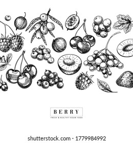 Hand drawn wild berry. Cherry, gooseberry, cranberry, raspberry, black currant, plum, rosehip, guelder rose, sea buckthorn, grape, strawberry Vector vegan food banner Package design restaurant