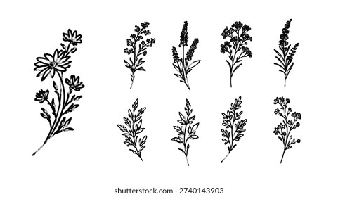 Hand drawn wild botanical set in Japanese ink brush style, expressive monochrome floral silhouettes inspired by dry brush calligraphy and natural meadow plants.