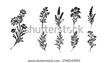 Hand drawn wild botanical set in Japanese ink brush style, expressive monochrome floral silhouettes inspired by dry brush calligraphy and natural meadow plants.