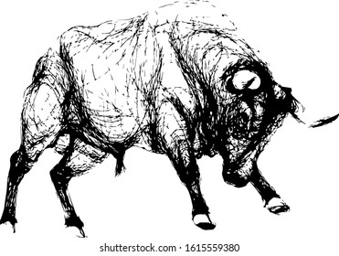 Hand drawn wild bull. vector